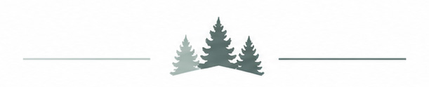 Evergreen trees as a divider